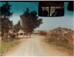 Lebanon May 1978 (0).jpg (304929 byte)