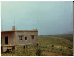 Lebanon May 1978 (2).jpg (227128 byte)