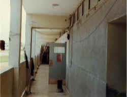 Lebanon May 1978 (6).jpg (268857 byte)