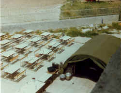 Lebanon May 1978 (7).jpg (316085 byte)