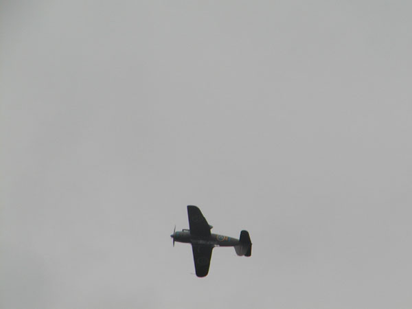 P8141237