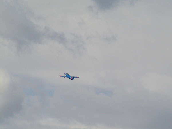 P8141253