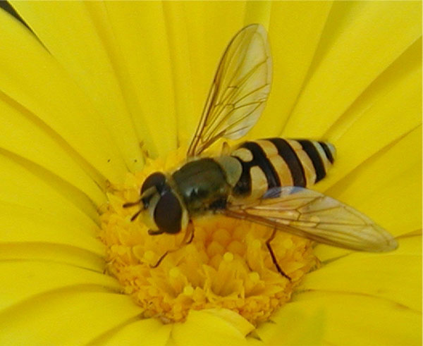 P8090872cr1