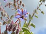 P7310633