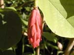 P9131795