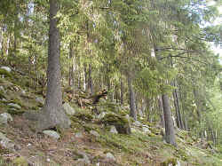 Cairn (10).JPG (476650 byte)