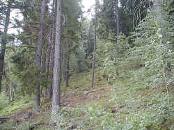 Cairn (8).JPG (469194 byte)