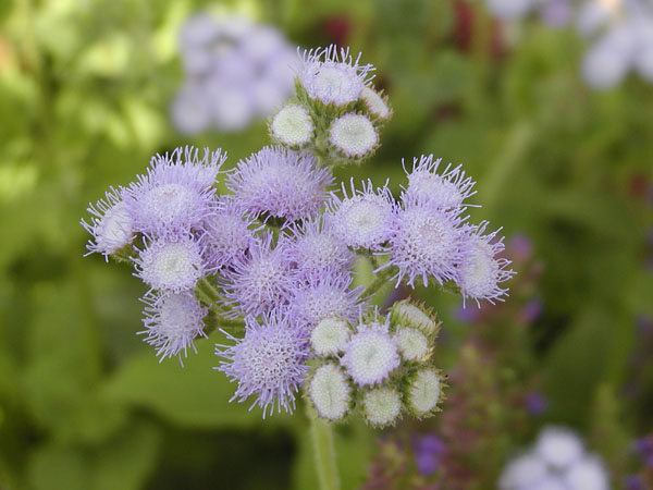 P7310634