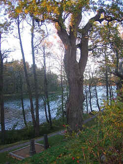 SalemIMG_3815.jpg (463896 byte)