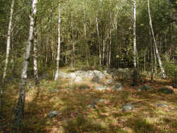 Torps Malm (9).JPG (385158 byte)