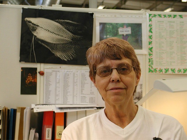 Photograph
